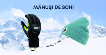 Manusi de schi
