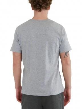Fundango Basic - T Logo-4 T-shirt férfi rövid ujjú póló szürke színben 3