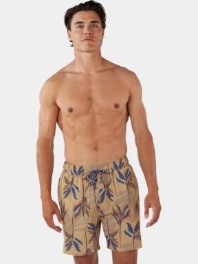 Barts Fervis Shorts férfi fürdőnadrág barna színben 1