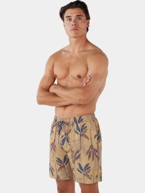 Barts Fervis Shorts férfi fürdőnadrág barna színben 3