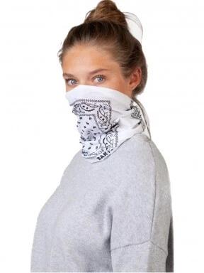 Multicol Paisley