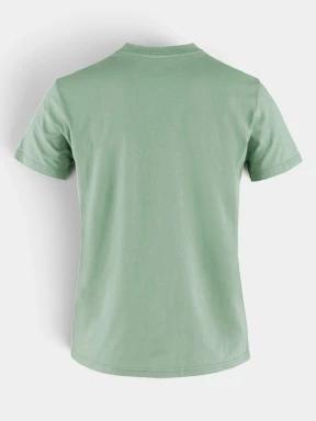 Fjallraven Fox Boxy Logo Tee W női rövid ujjú póló világoszöld színben 3