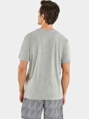 Nautica Honley T-Shirt férfi rövid ujjú póló szürke színben 3