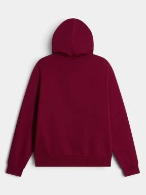 The North Face W Evolution Simple Dome Regular Hoodie női kapucnis pulóver bordó színben 3