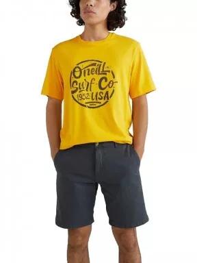 O'Neill Vaca Chino Shorts férfi rövidnadrág szürke színben 1