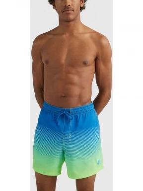 Cali Gradient 15'' Swim Shorts