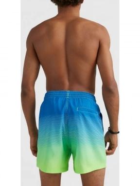 Cali Gradient 15'' Swim Shorts