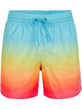 Cali Gradient 15'' Swim Shorts