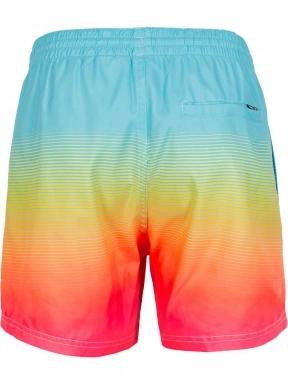 Cali Gradient 15'' Swim Shorts