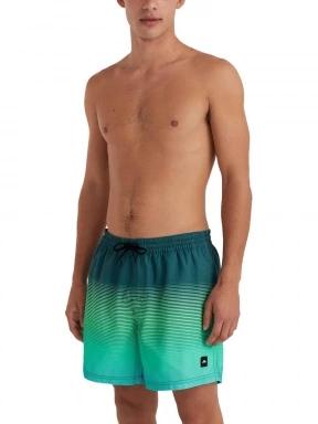 O'Neill Jack O'Neill Cali Gradient 15'' Swim Shorts férfi beach short világoskék színben 1