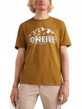 O'Neill Outdoor T-Shirt férfi rövid ujjú póló barna színben 1