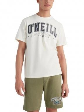 O'Neill State Muir T-Shirt férfi rövid ujjú póló fehér színben 1