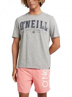 O'Neill State Muir T-Shirt férfi rövid ujjú póló szürke színben 1