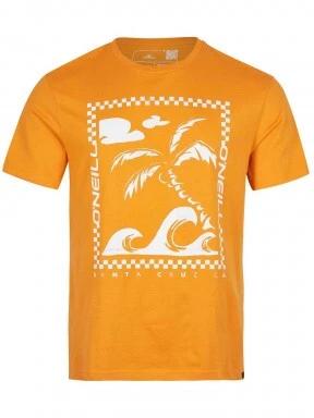 O'Neill Fin T-Shirt férfi rövid ujjú póló narancssárga színben 1