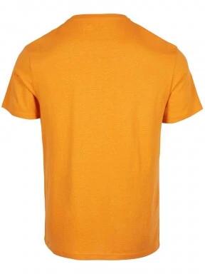 O'Neill Fin T-Shirt férfi rövid ujjú póló narancssárga színben 3