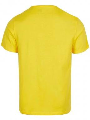 O'Neill Loren T-Shirt férfi rövid ujjú póló sárga színben 3