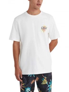 O'Neill O'Neill Beach Graphic T-Shirt férfi rövid ujjú póló fehér színben 1