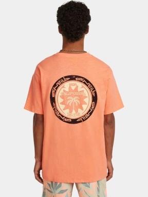 O'Neill O'Neill Slub Back Print T-Shirt férfi rövid ujjú póló narancssárga színben 3