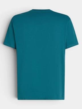 O'Neill O'Neill Beach Chest Print T-Shirt férfi rövid ujjú póló zöld színben 3