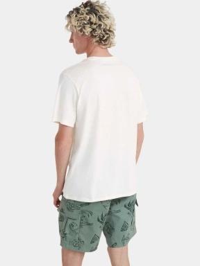 O'Neill O'Neill Logo T-Shirt férfi rövid ujjú póló fehér színben 3