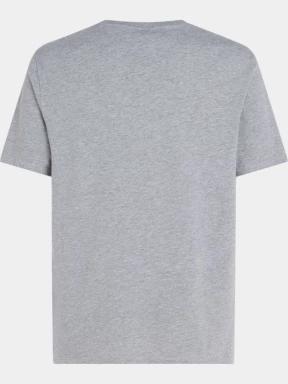 O'Neill O'Neill Logo T-Shirt férfi rövid ujjú póló szürke színben 3