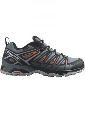 X Ultra Pioneer Gtx