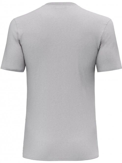 Salewa Pure Eagle Frame DRY M T-shirt férfi rövid ujjú sport póló szürke színben 3