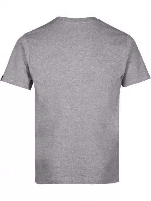 Fundango Basic T Logo-9 T-shirt férfi rövid ujjú póló szürke színben 7