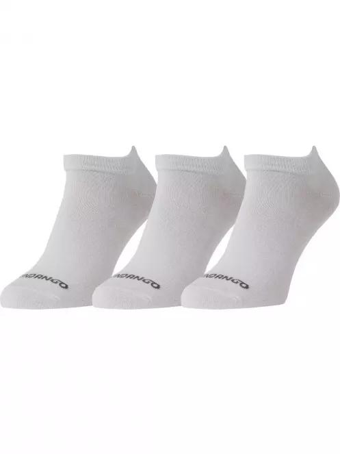 Noshow basic 3-pack