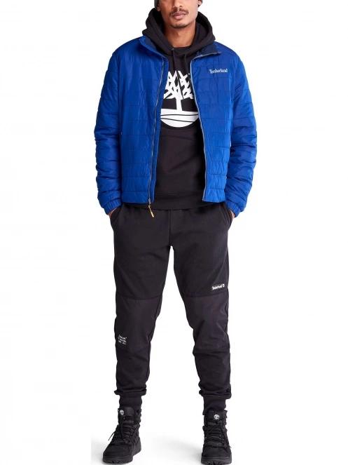 Tree Logo Hoodie