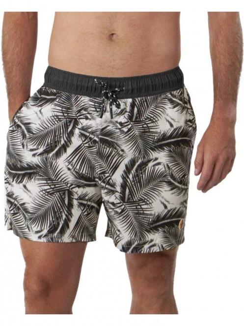 Darwin Shorts