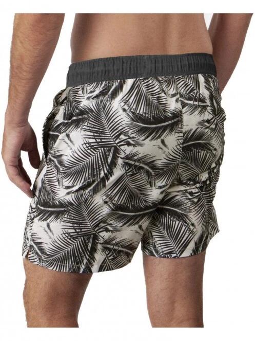 Darwin Shorts