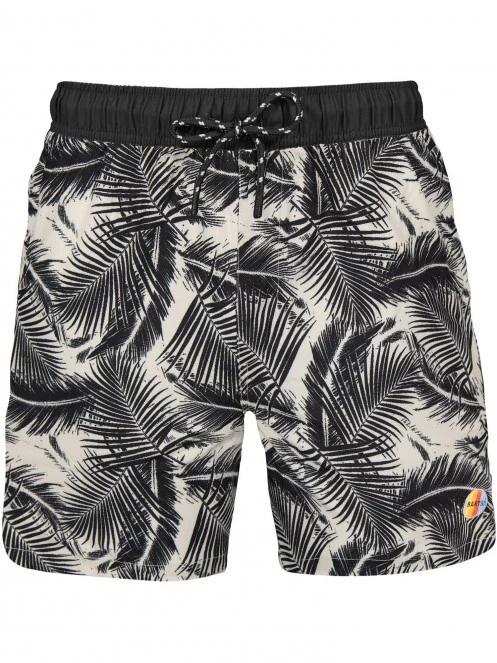 Darwin Shorts