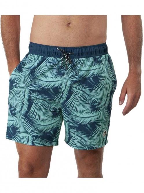 Darwin Shorts