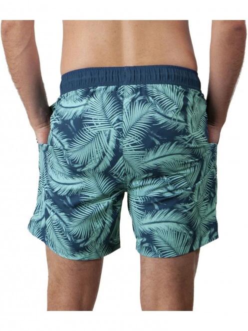 Darwin Shorts