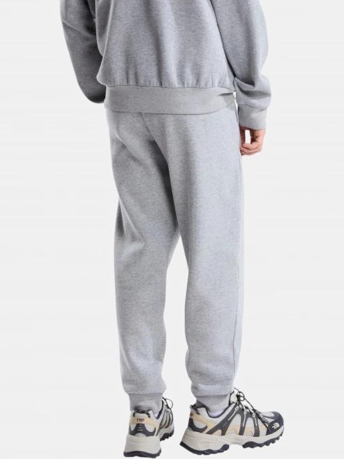 The North Face M Evolution Simple Dome Regular Jogger férfi tréning nadrág szürke színben 3