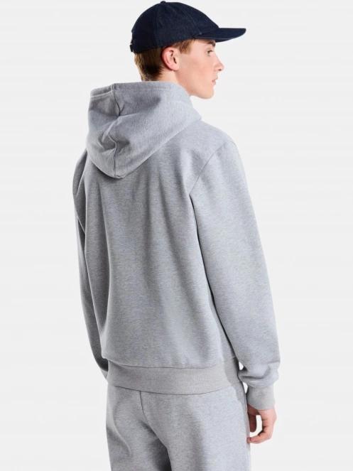 The North Face M Evolution Simple Dome Regular Full Zip férfi kapucnis pulóver szürke színben 4