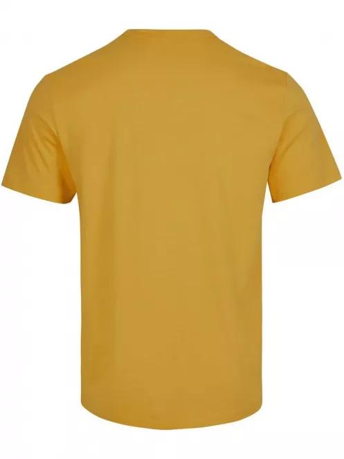LM Mtn Horizon Ss T-Shirt