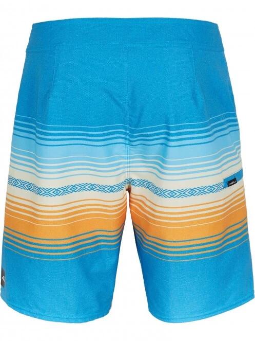 Heat Stripe Line 19'' Boardshorts