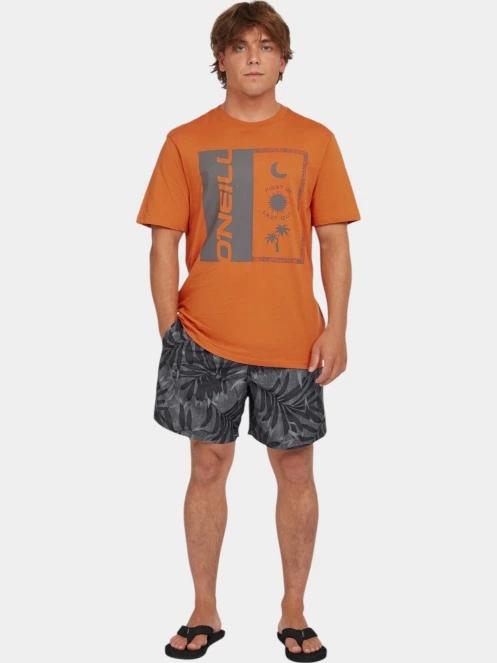 O'Neill O'Neill Cali Floral 16'' Swimshorts férfi beach short szürke színben 5
