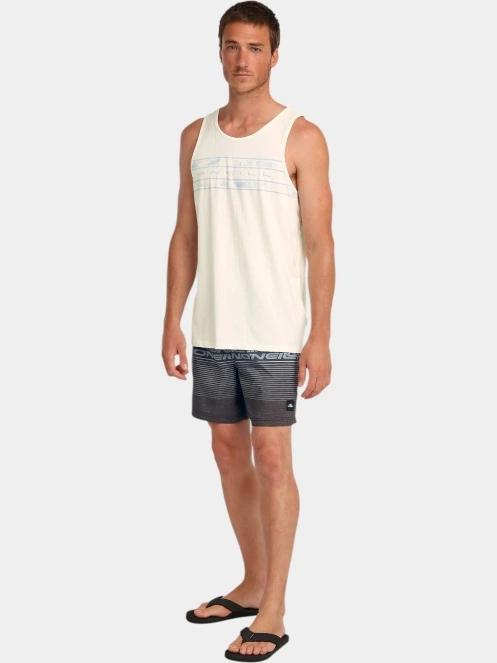 O'Neill O'Neill Logo Stripe 16'' Swimshorts férfi fürdőnadrág szürke színben 5