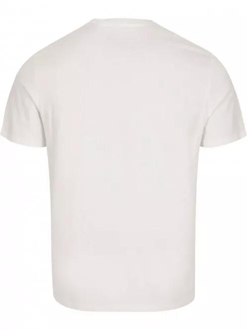O'Neill Muir T-Shirt férfi rövid ujjú póló fehér színben 6