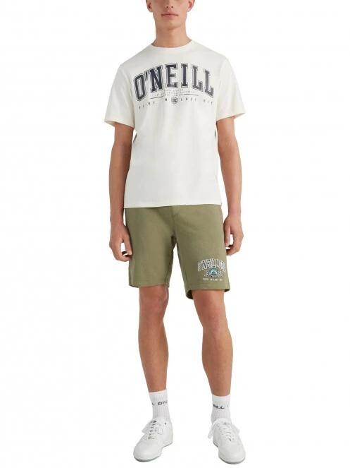 O'Neill State Muir T-Shirt férfi rövid ujjú póló fehér színben 5