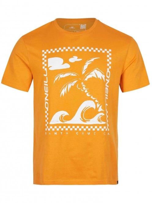O'Neill Fin T-Shirt férfi rövid ujjú póló narancssárga színben 2
