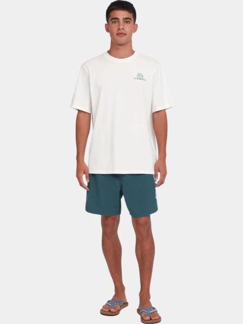 O'Neill Global T-Shirt férfi rövid ujjú póló fehér színben 4