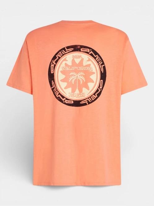 O'Neill O'Neill Slub Back Print T-Shirt férfi rövid ujjú póló narancssárga színben 7