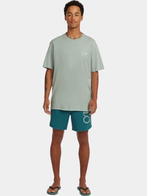 O'Neill O'Riginals Cali T-Shirt férfi rövid ujjú póló világoszöld színben 4