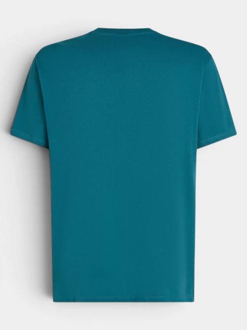 O'Neill O'Neill Beach Chest Print T-Shirt férfi rövid ujjú póló zöld színben 3