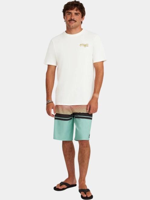 O'Neill O'Neill Graphic Logo T-Shirt férfi rövid ujjú póló fehér színben 4