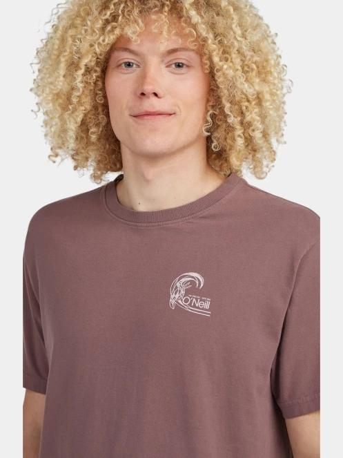 O'Neill O'Riginals Retro Back Print T-Shirt férfi rövid ujjú póló lila színben 5